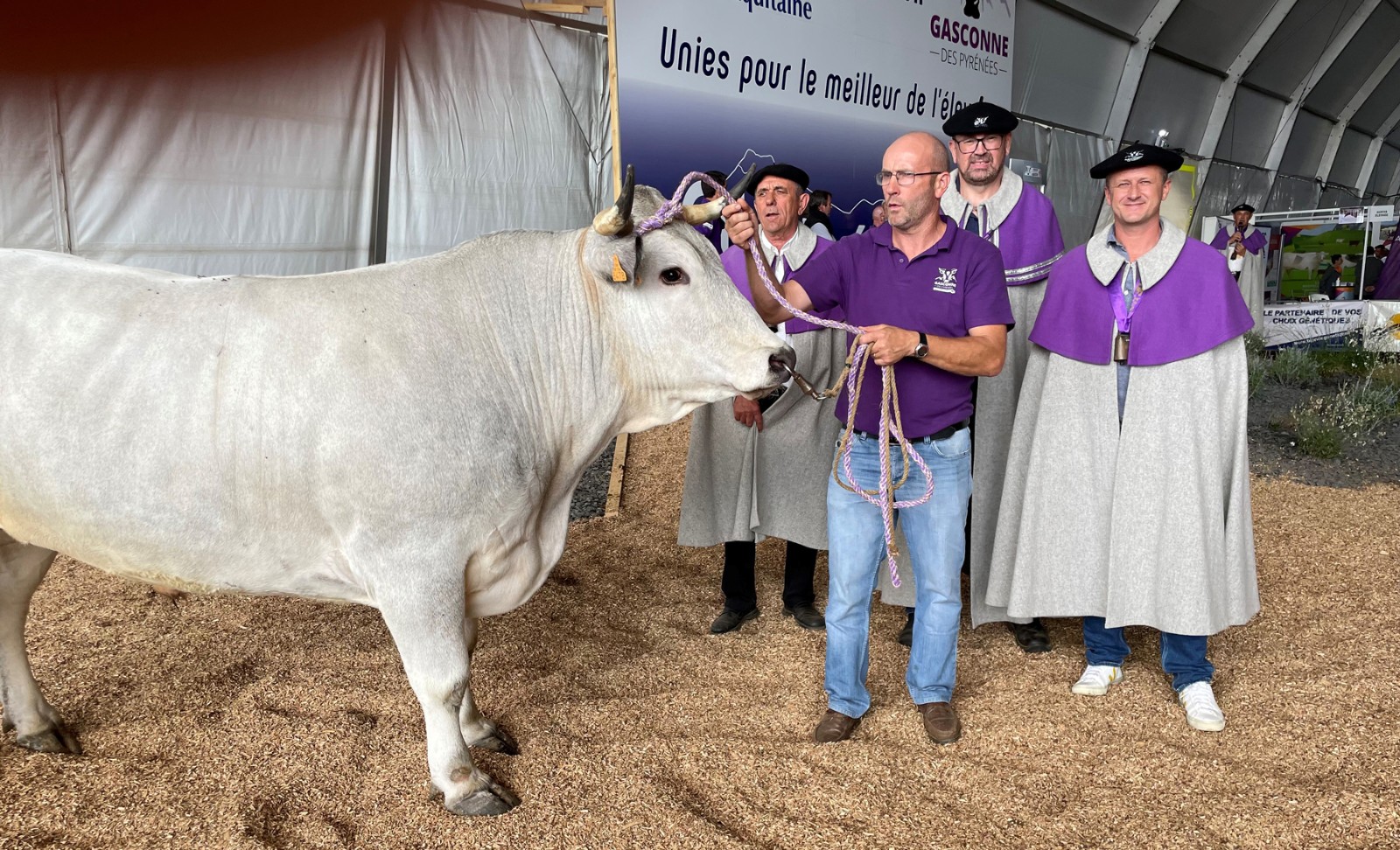 confrerie-boeuf-gascon-en-marge-site