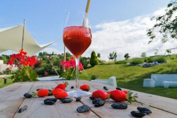 cocktail-gin-fraises-feve-tonka