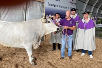 confrerie-boeuf-gascon-en-marge-site